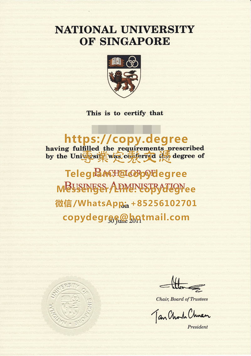 新加坡國立大學畢業證書範本