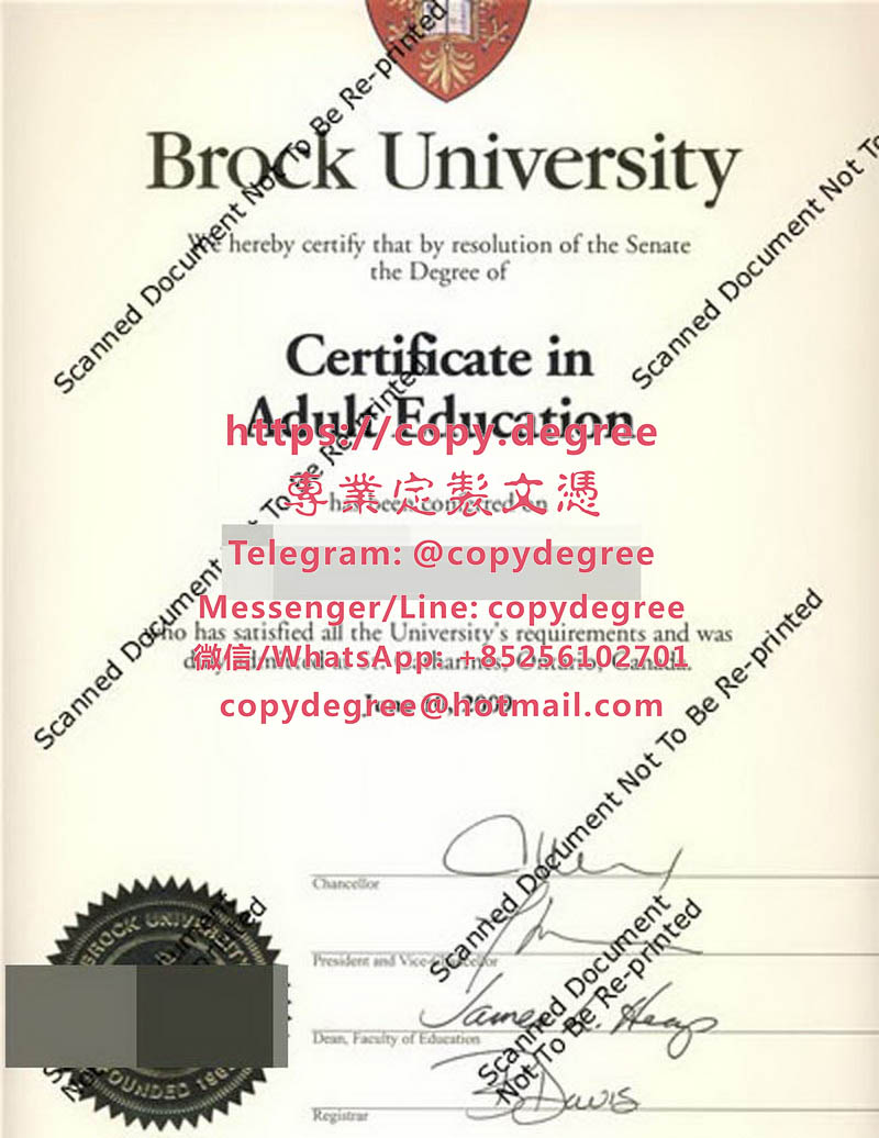 布魯克大學學位證範本