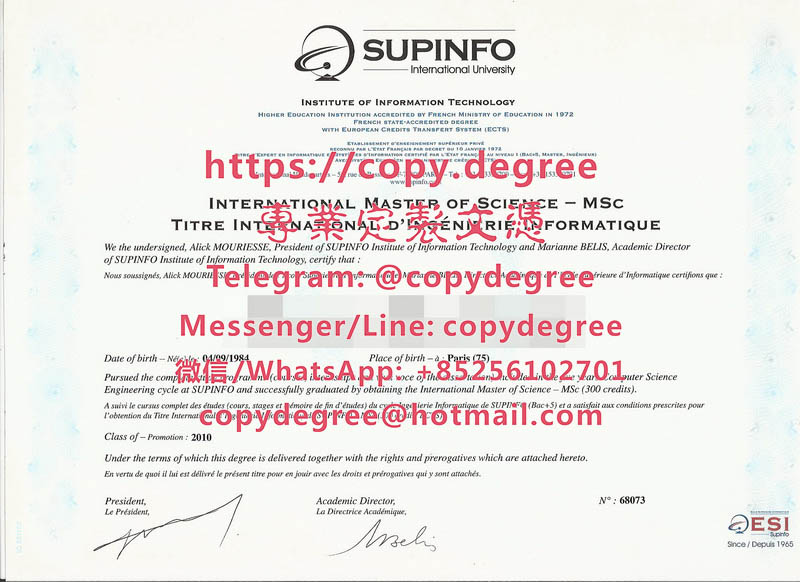 SUPINFO國際大學文憑樣本