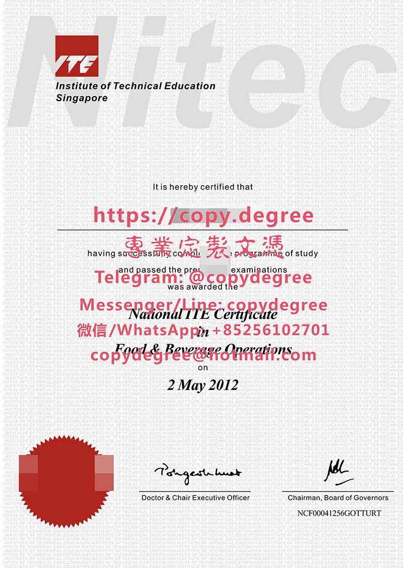 新加坡工艺教育学院文凭范本|辦理新加坡工藝教育學院畢業證書|製作新加坡工