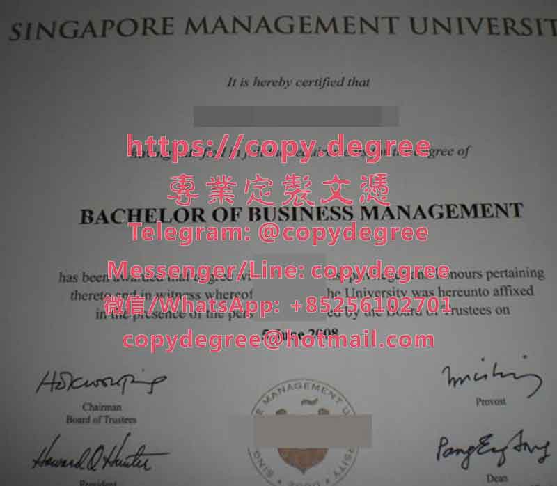 新加坡管理大学文凭样本