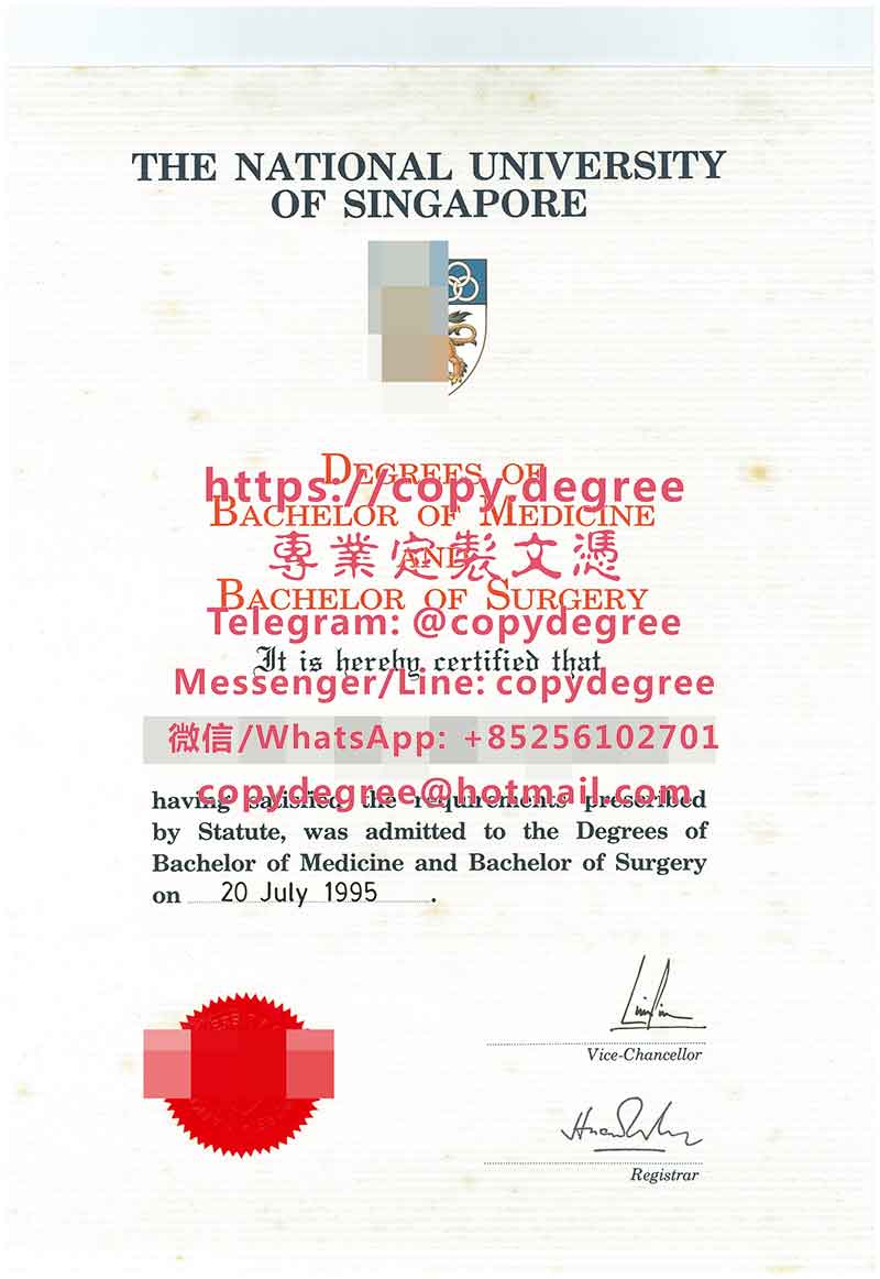 新加坡国立大学文凭样板