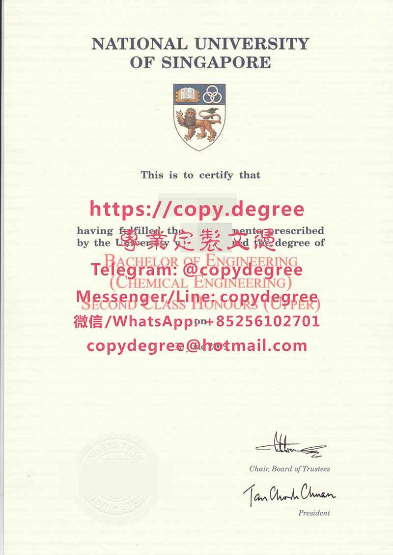新加坡国立大学学位证书范本