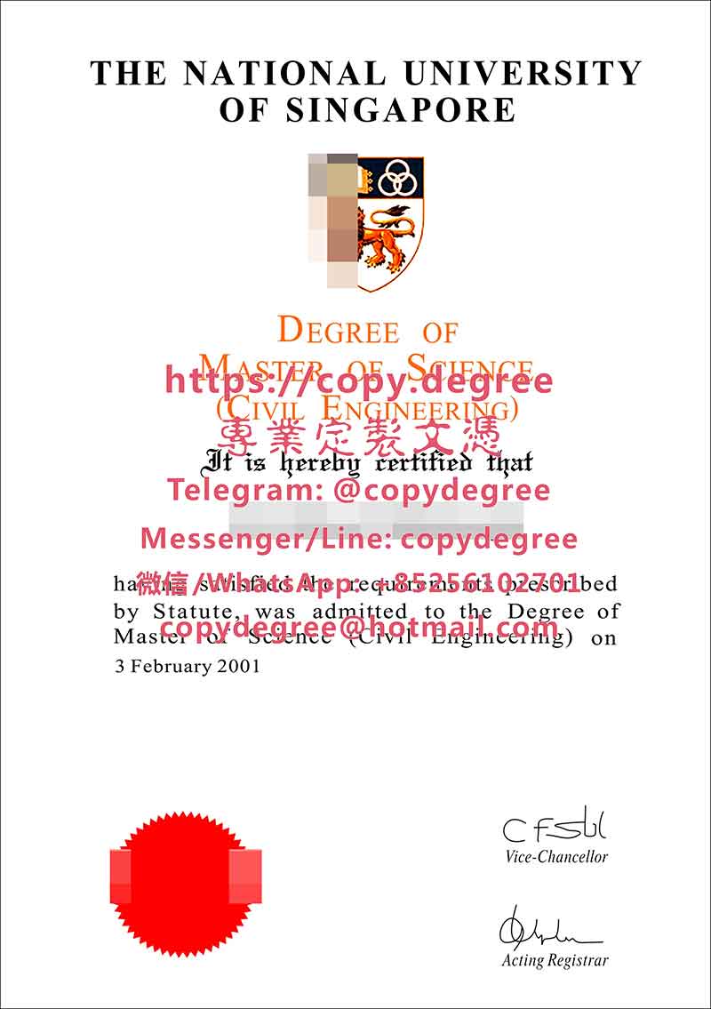 新加坡国立大学硕士文凭模板|辦理新加坡國立大學畢業證書|製作新加坡國立大