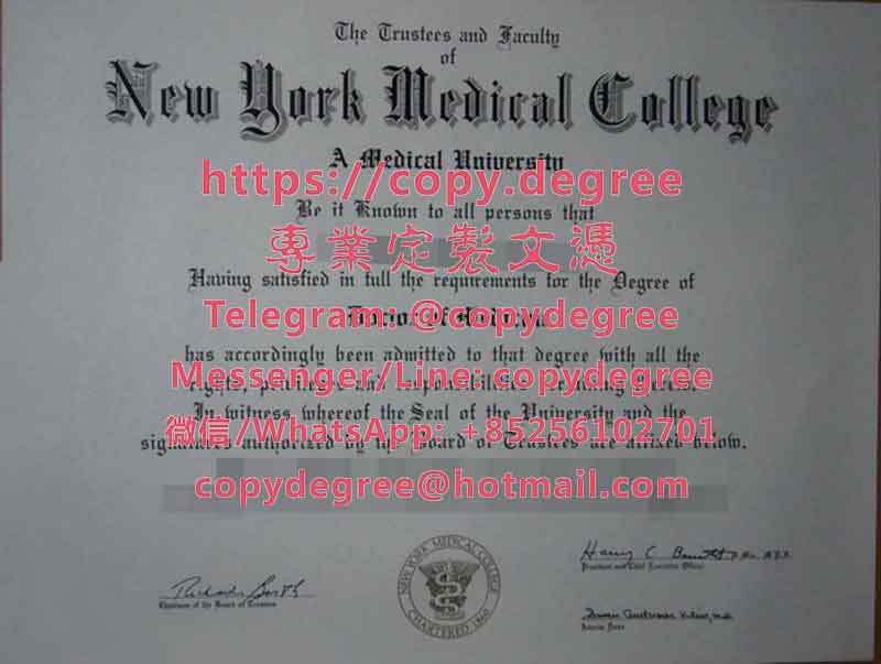 纽约医学院文凭模板