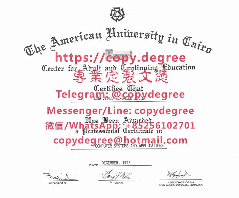 美国大学开罗校区文凭范本