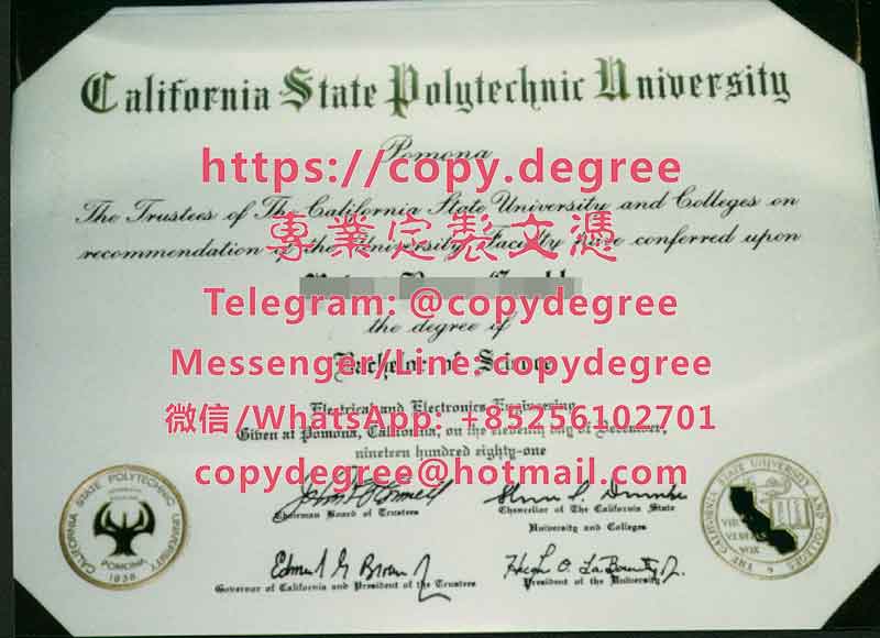 加州州立理工大学波莫那分校学位证书样板